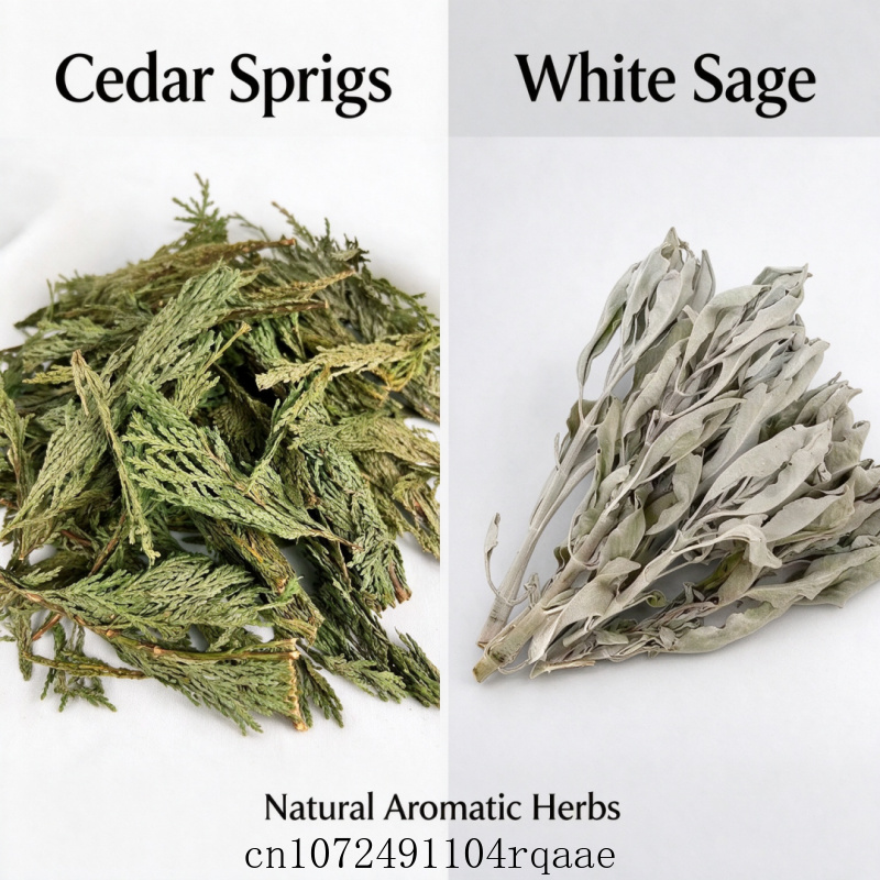 Suszone gałązki białej szałwii – Dried Herbs recenzja i cena
